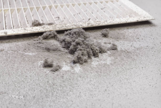 Best Affordable Duct Cleaning Services  in San Rafael, NM