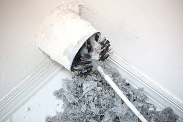 Best Local Air Duct Cleaning Services  in San Rafael, NM